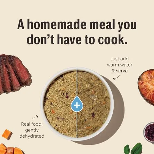 The Honest Kitchen Wholemade™ Dehydrated Whole Grain Chicken Dog Food, 4 lb Box