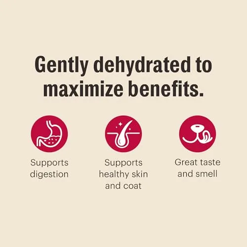 The Honest Kitchen Wholemade™ Dehydrated Whole Grain Chicken Dog Food, 4 lb Box