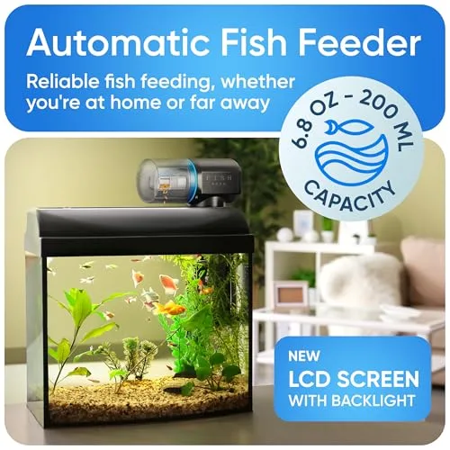 FISHNOSH feeder mounted on aquarium glass