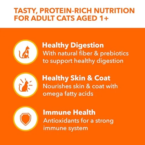 A clean ceramic cat bowl after a meal of IAMS Perfect Portions, with an empty tray next to it, demonstrating zero leftovers.