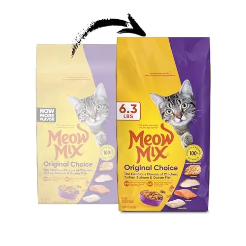 A time-lapse series of photos showing a cat's food bowl from full to empty over 3 hours, with a graph overlay plotting the cat's proximity to the bowl, illustrating the short satiety period.