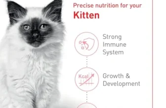 Royal Canin Kitten Dry Food Review: Is It Worth The Premium Price?