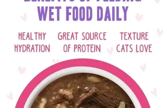 Weruva B.F.F. OMG Rainbow A Gogo Review: Worth it?