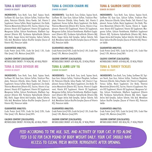 A happy domestic shorthair cat eagerly eating Weruva OMG food from a ceramic bowl, showing the soup-like consistency.