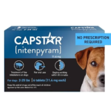 Capstar Flea Treatment Review: Fast Relief or Short Fix?