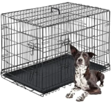 FDW 42-Inch Dog Crate Review: Budget Kennel or Bust?