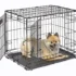 Amazon Basics 8-Panel Pet Pen Review: Best Budget Enclosure?