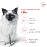 Royal Canin Kitten Dry Food Review: Is It Worth The Premium Price?